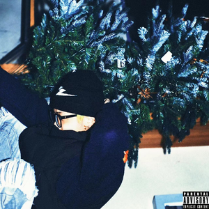 系统图像小鲤导航
